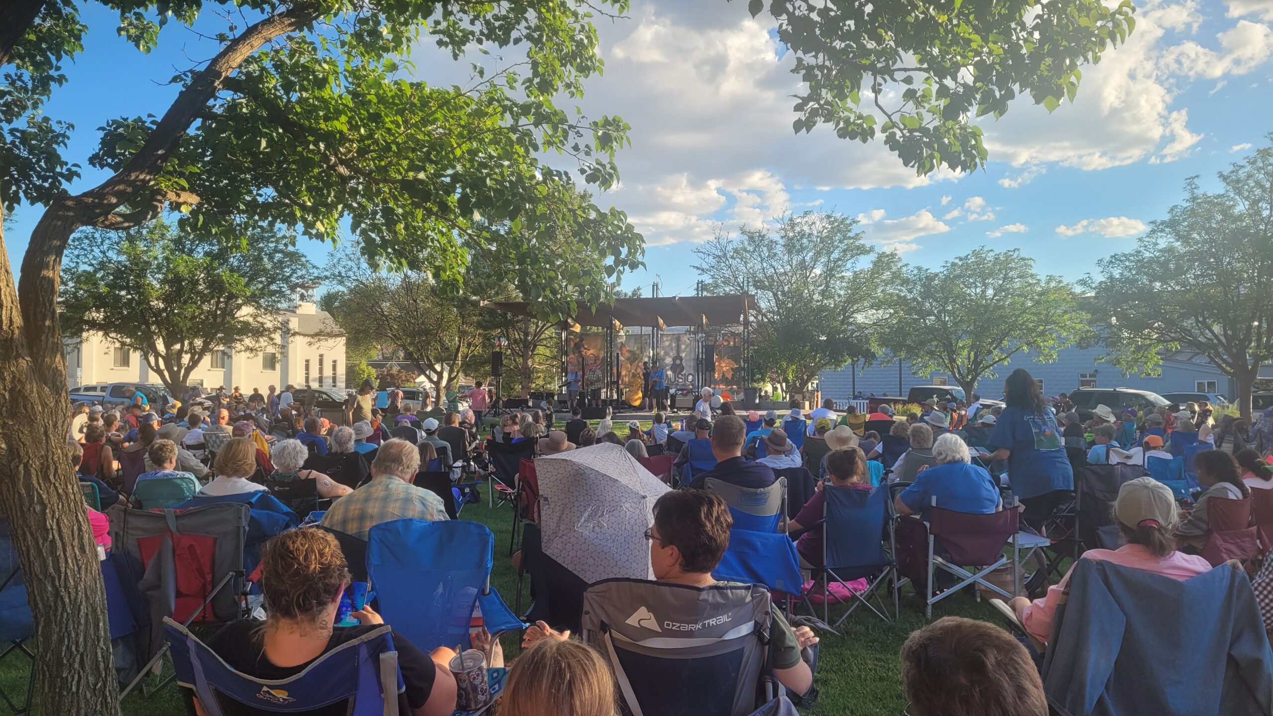 A crowd of people watching a concert outside in a park.