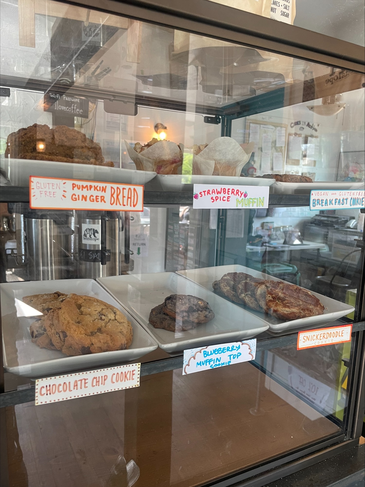 The Perfect Girls Trip in Fruita, Colorado Go Fruita