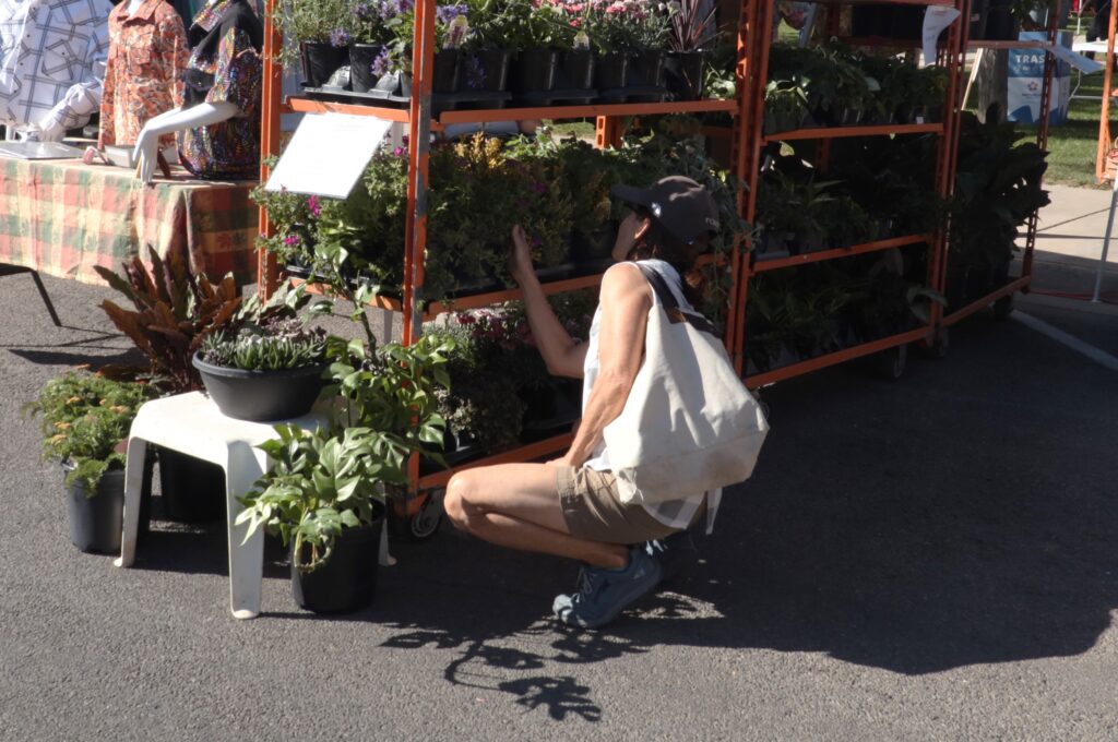 A woman looks through potted plants.