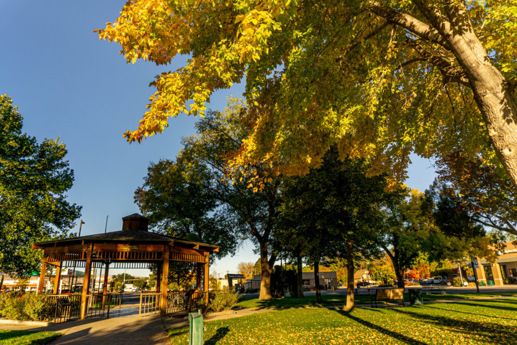 The gazebo at Circle Park surrounded by trees with leaves changing for the fall.