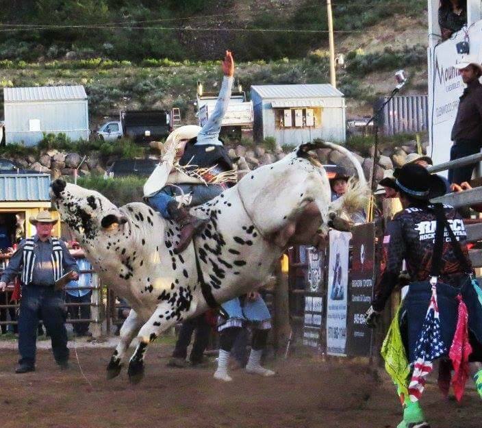 A man rides a bull at the Fruita Rimrock Rodeo.