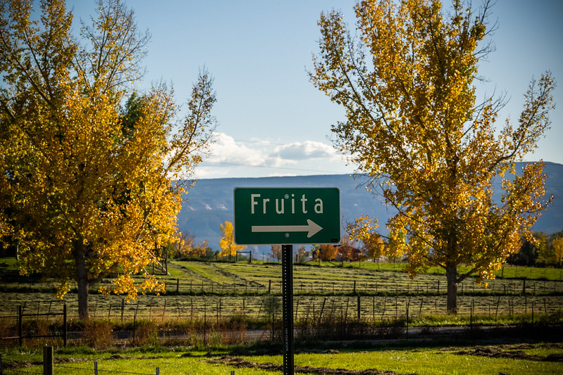 A sign that says "Fruita" with an arrow that is surrounded by trees.