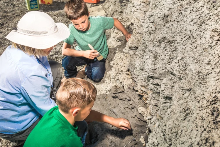Dig-Days-parent-children