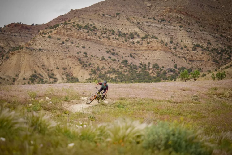 mountain-bike-vista