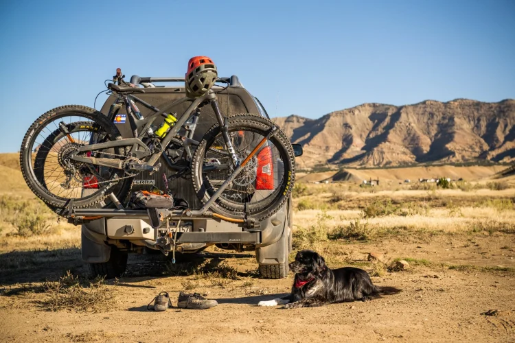 suv-back-bikes-dog